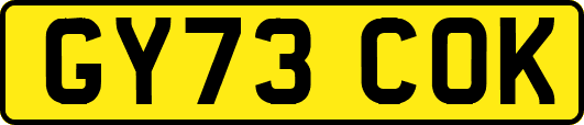 GY73COK