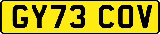 GY73COV