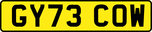 GY73COW