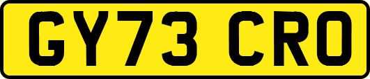 GY73CRO