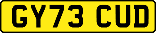 GY73CUD