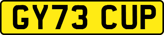 GY73CUP