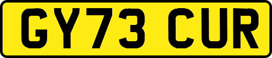 GY73CUR