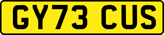 GY73CUS