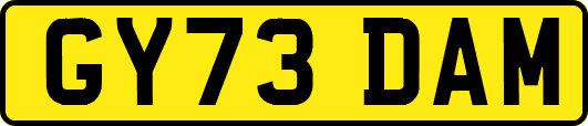 GY73DAM