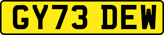 GY73DEW