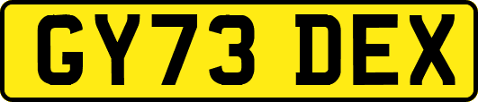 GY73DEX