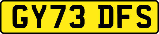 GY73DFS
