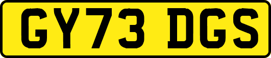 GY73DGS