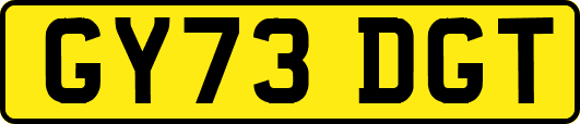 GY73DGT
