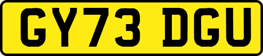 GY73DGU