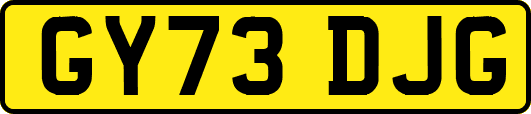 GY73DJG