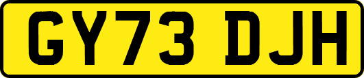 GY73DJH
