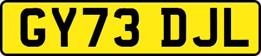 GY73DJL