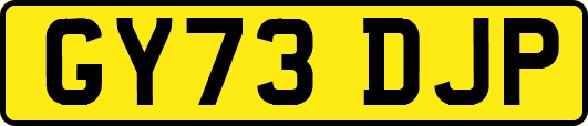 GY73DJP