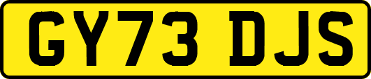 GY73DJS