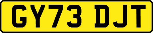 GY73DJT