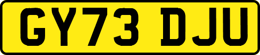GY73DJU