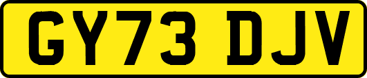 GY73DJV