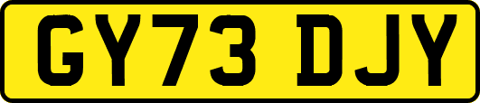 GY73DJY