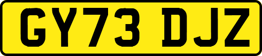 GY73DJZ