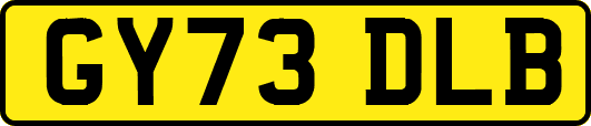 GY73DLB