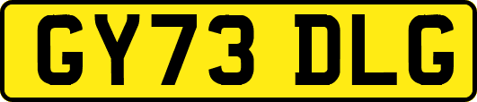 GY73DLG