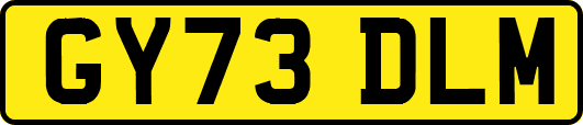 GY73DLM