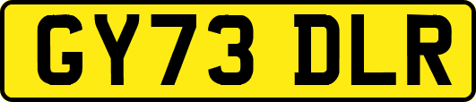 GY73DLR