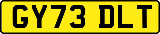 GY73DLT