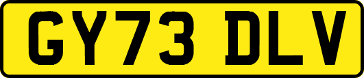 GY73DLV