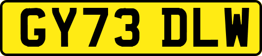 GY73DLW