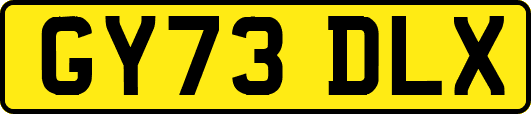 GY73DLX