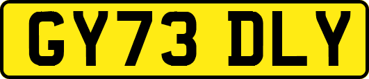 GY73DLY
