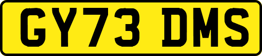 GY73DMS