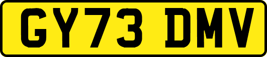 GY73DMV