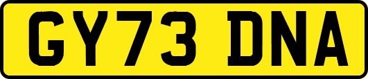GY73DNA