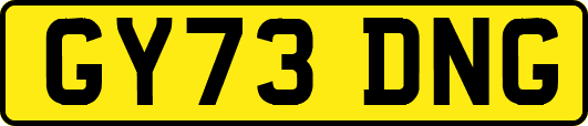 GY73DNG