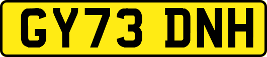 GY73DNH