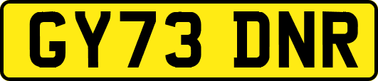GY73DNR