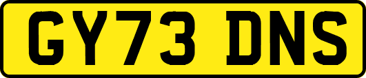 GY73DNS