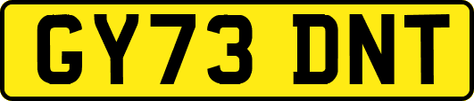 GY73DNT