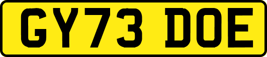GY73DOE