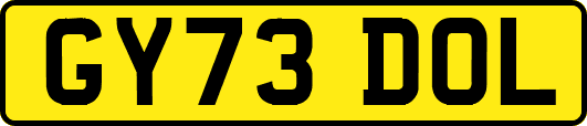 GY73DOL
