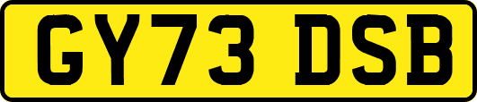 GY73DSB
