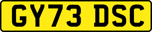 GY73DSC