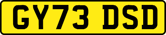 GY73DSD