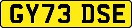 GY73DSE
