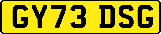 GY73DSG
