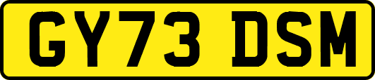 GY73DSM